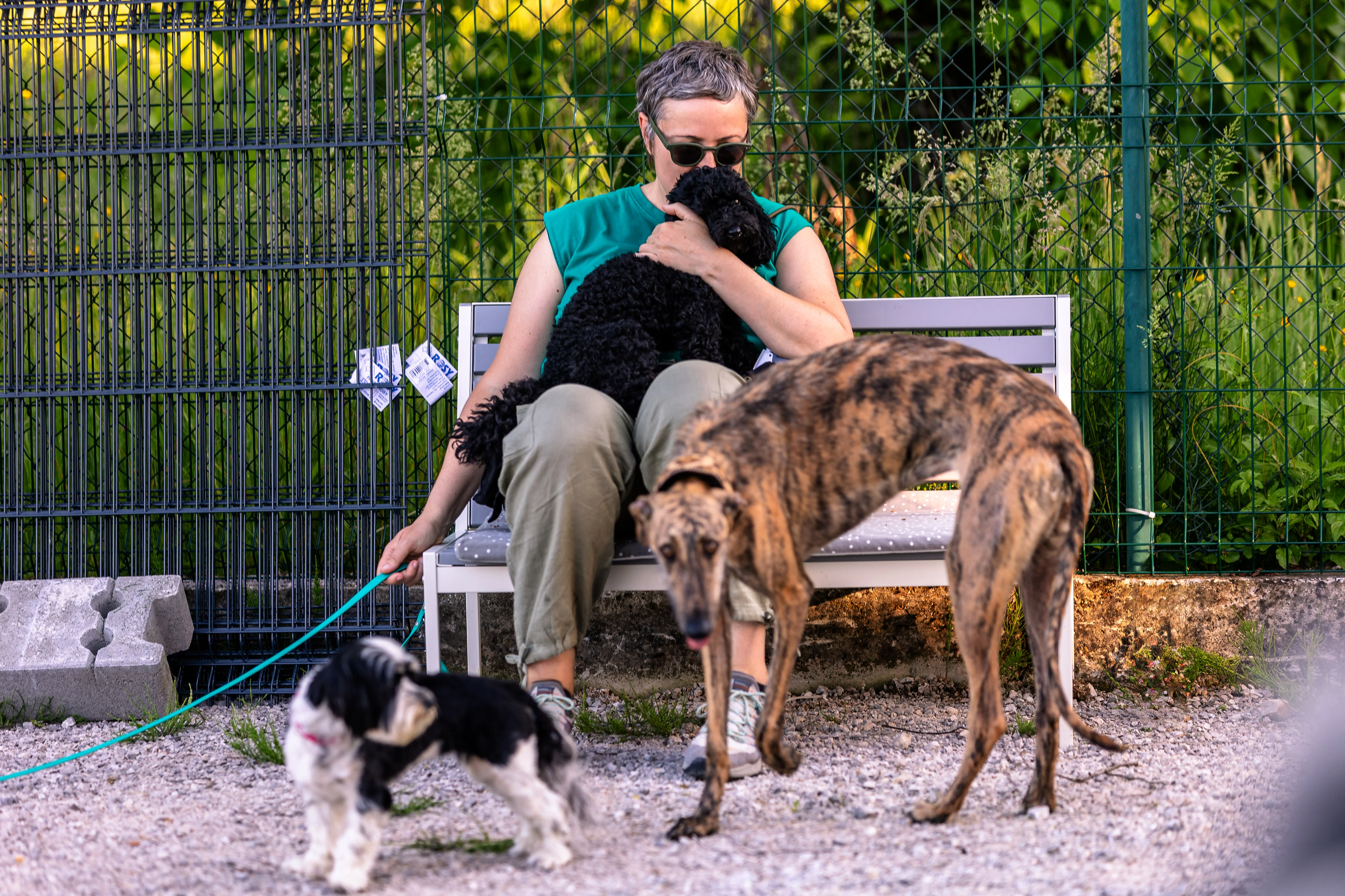 Sretni psi u Pasinsky hotelu