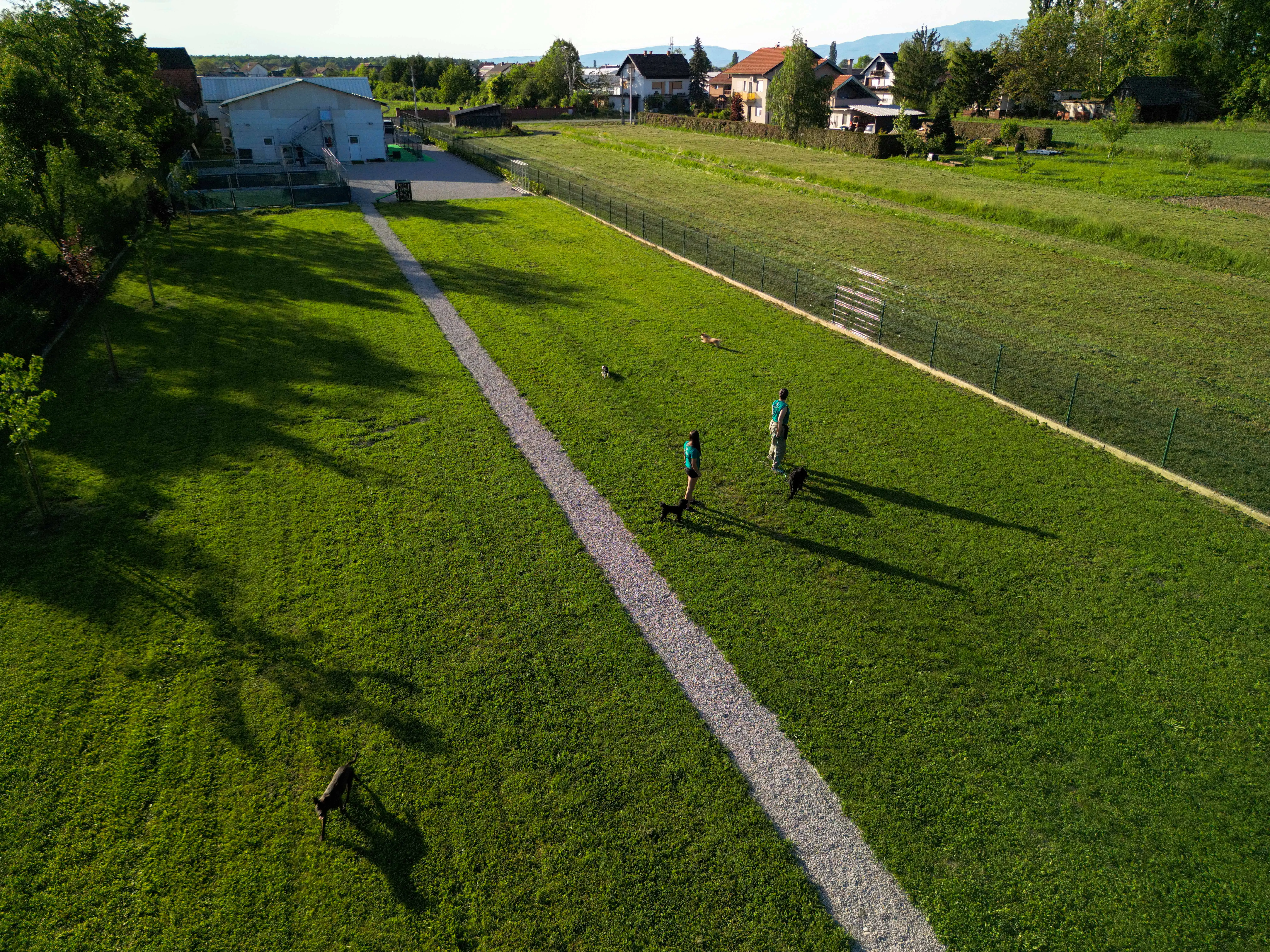 Our park your dog only