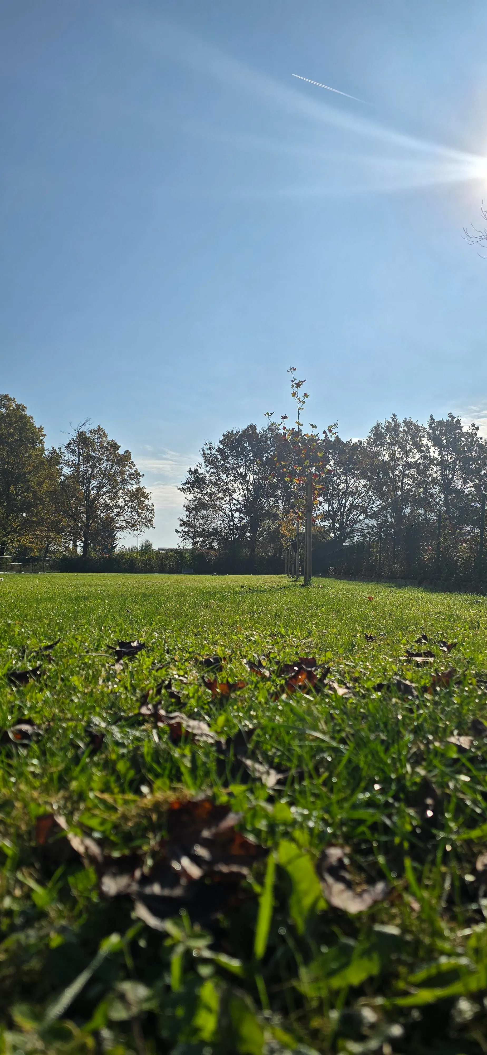 3500 m2 of fenced dog park