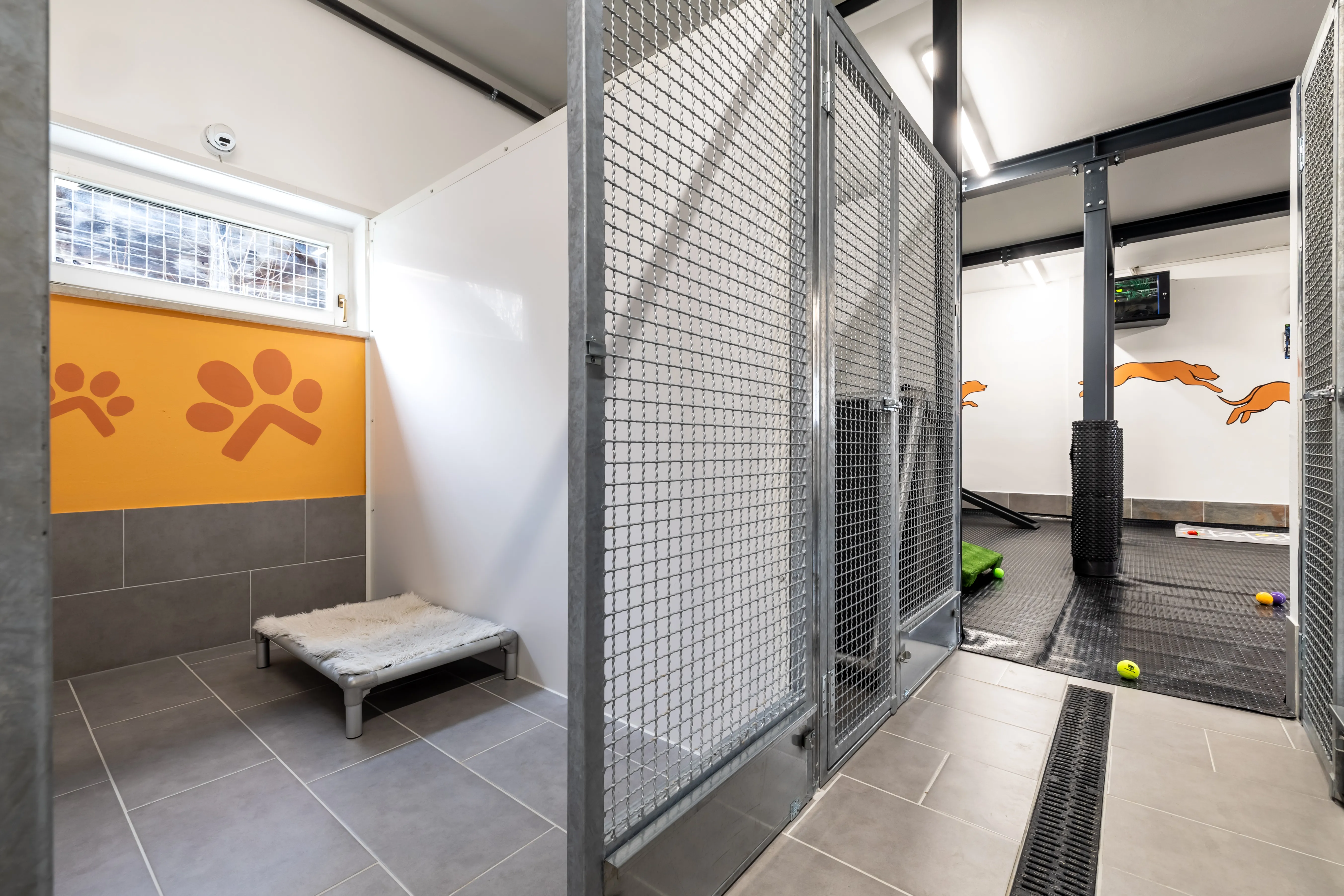 Security, comfort and fun