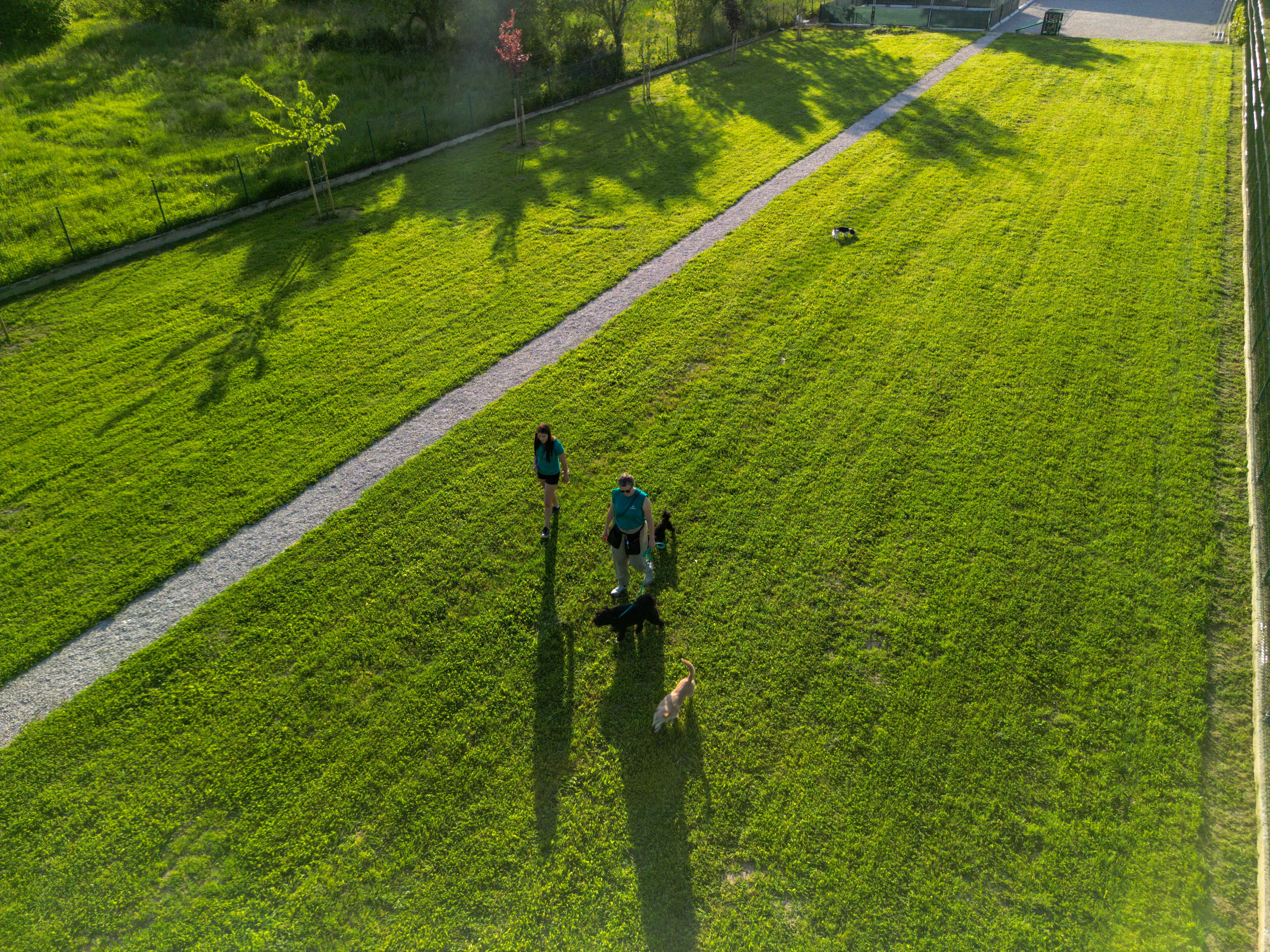 Our dog park has 2.5m fence