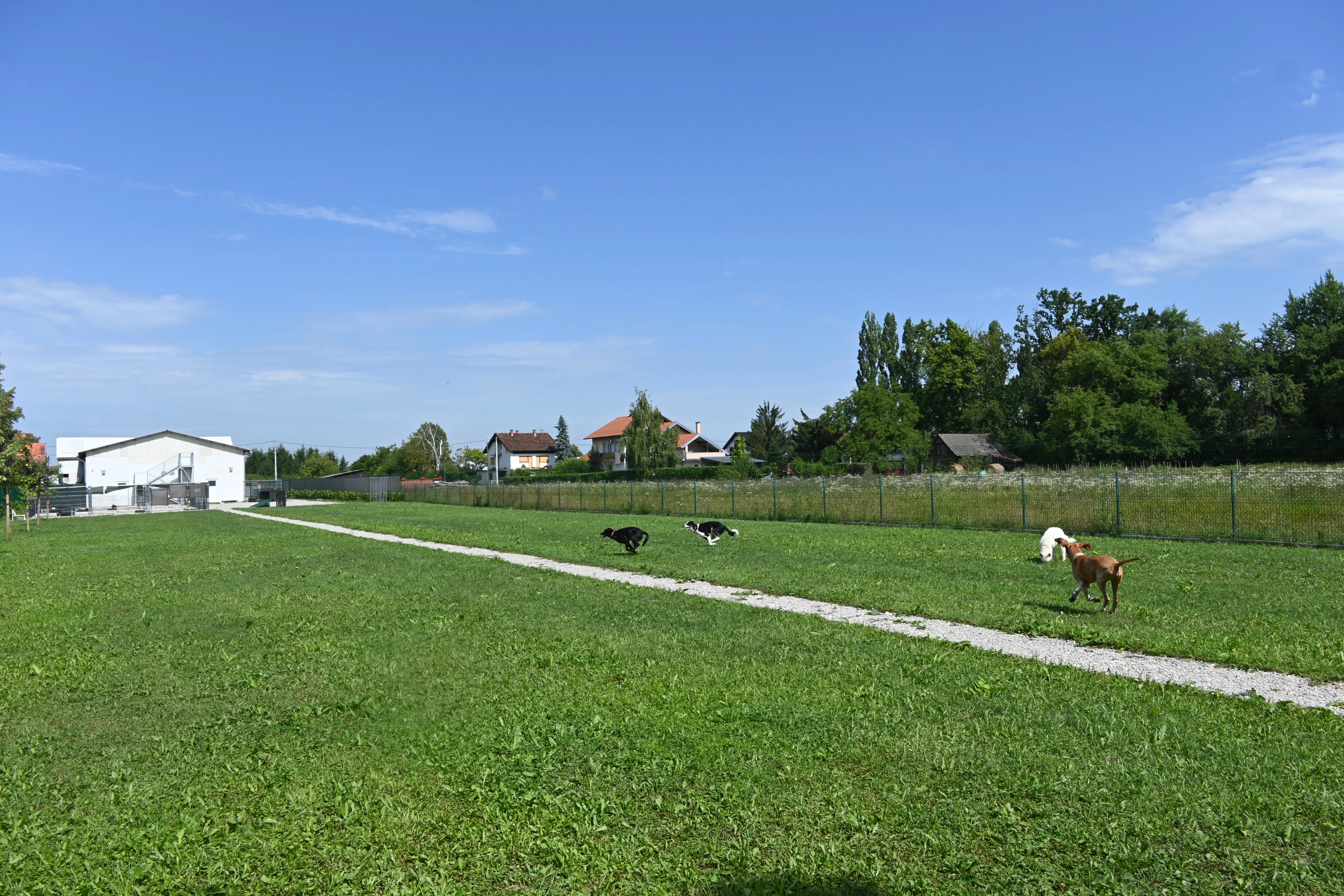 jutarnje istrčavanje