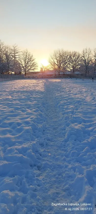 Our dog park in winter